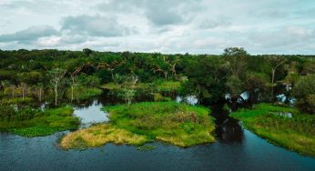 Debatendo o Plano Estadual Amazônia Agora na visão da Sociedade Civil e Academia
