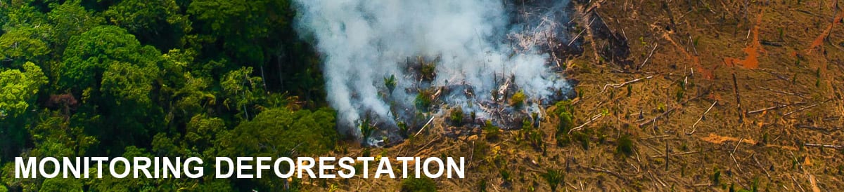 Monitoring Deforestation - Who we are