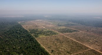 #ImazonNaMídia: Os perigos da regularização fundiária por autodeclaração (O Eco)
