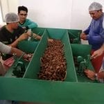 WhatsApp Image 2019 08 28 at 09.37.34 1 e1570539353136 150x150 - Territórios Sustentáveis promove capacitação em beneficiamento de castanha-do-pará em comunidade do Baixo Amazonas