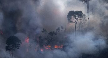 #ImazonInTheMedia: Brazil’s Amazon Is Under Threat from Proposed Land-Use Laws (Americas Quarterly)