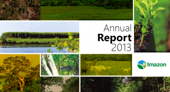 Annual Report 2013