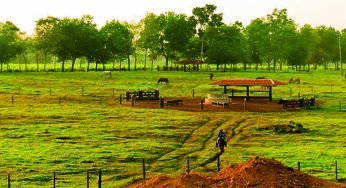 Amazon municipalities could collect more taxes from rural landowners
