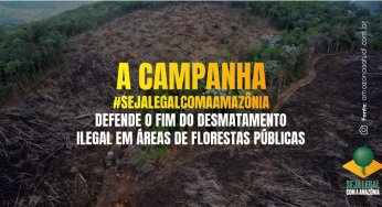 #ImazonNoMídia: Vídeos mostram como funciona o roubo de terras públicas na Amazônia (Globo Rural)