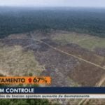 SAD JL1 150x150 1 - #ImazonNaMídia: Imazon aponta aumento de quase 70% no desmatamento na Amazônia (TV Liberal)