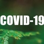 Imazon covid 150x150 - Comunicado do Imazon sobre o Covid-19