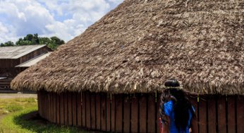 Terras Indígenas na Amazônia são as Áreas de Proteção que mais sofrem pressão por desmatamento, revela Imazon