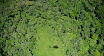 #ImazonNaMídia: Brasil entrará em temporada de queimadas sem plano para a Amazônia (BBC Brasil)