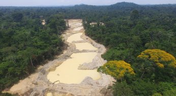 #ImazonNaMídia: Terra Indígena Yanomami é a área protegida mais pressionada da Amazônia (O Eco)