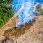 AdobeStock 240813884 150x150 - #ImazonNaMídia: Nova ferramenta antecipa regiões suscetíveis a incêndios e desmatamento na Amazônia