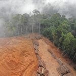 AdobeStock 269685600 150x150 - Desmatamento acumulado dos últimos 11 meses cresceu 51% na Amazônia, aponta Imazon