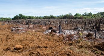 Devastação na Amazônia cresce mais de 50% em setembro, aponta Imazon