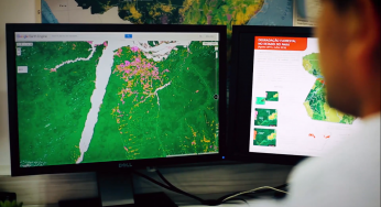 Inteligência Artificial na proteção da Amazônia