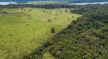 Resex Chico Mendes, no Acre, e APA do Tapajós, no Pará, lideram o ranking das Áreas de Proteção Ambientais mais ameaçadas de desmatamento, segundo Imazon