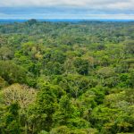 vista da amazonia 133548 161 150x150 - Lançamento do Observatório de Comércio e Ambiente na Amazônia