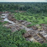 1 150x150 - Estudo lista seis mudanças que precisam ser feitas nas leis de terras para proteger a Amazônia