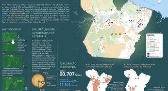 Sistema de Monitoramento da Exploração Madeireira (Simex): Estado do Pará 2018-2019