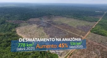 #ImazonNaMídia: Maior desmatamento em abril dos últimos 10 anos estampa manchetes de veículos regionais e nacionais