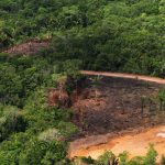 Arquivo Agencia Para 150x150 - La deforestación en la Amazonía Brasileña fue la mayor en 10 años por el tercer mes consecutivo, de acuerdo con Imazon