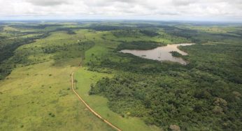 Imazon data: Deforestation in the Brazilian Amazon was the highest in 10 years for the third month in a row