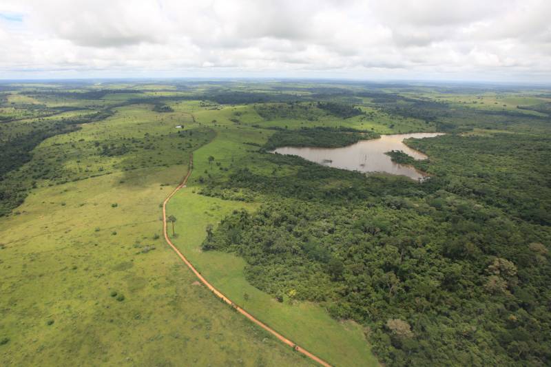 up ag 27879 f9b86f3e 31d6 d116 e315 dc787a17677d 1 - Imazon data: Deforestation in the Brazilian Amazon was the highest in 10 years for the third month in a row