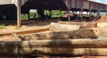 Sistema de Monitoramento da Exploração Madeireira (Simex): Mapeamento da exploração madeireira no Amapá – Agosto 2019 a Julho 2020