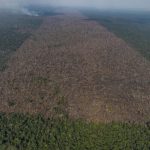 Desmatamento em Labrea municipio do sul do Amazonas Foto Victor Moriyama Amazonia em Chamas 2021 2 150x150 - Amazônia perdeu área de floresta maior do que 4 mil campos de futebol por dia em setembro