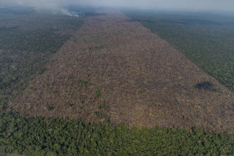 Desmatamento em Labrea municipio do sul do Amazonas Foto Victor Moriyama Amazonia em Chamas 2021 - Brazilian Amazon lost forest area greater than 4 thousand soccer fields per day in September