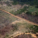 Desmatamento em Rondonia Greenpeace 150x150 - Relatório dos PLs da Grilagem aumenta retrocessos e mantém possibilidade de anistiar desmatamentos futuros, aponta análise do Imazon
