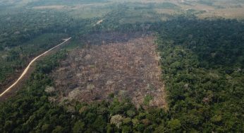 Nota Técnica sobre a redução de preços de terra na regularização fundiária em áreas estaduais no Pará