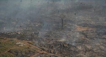 Deforestation in the Brazilian Amazon from January to November exceeds 10,000 km², worst record in 10 years