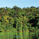 IPSAmazonia2014 150x150 - IPS Amazônia 2014