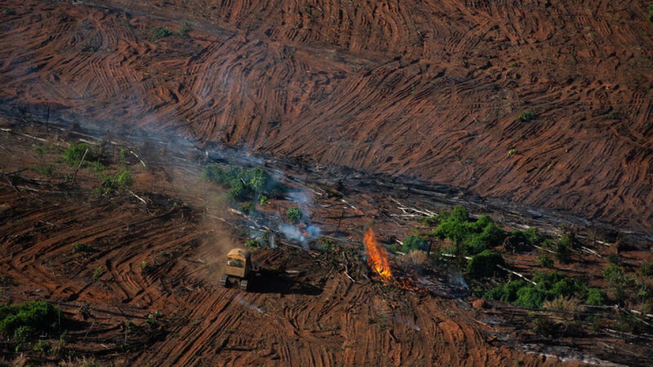 Amazônia ameaçada: Colniza, um retrato do desmatamento em Mato Grosso