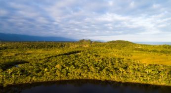 Oportunidades para restauração florestal em larga escala no bioma Amazônia: priorizando a vegetação secundária