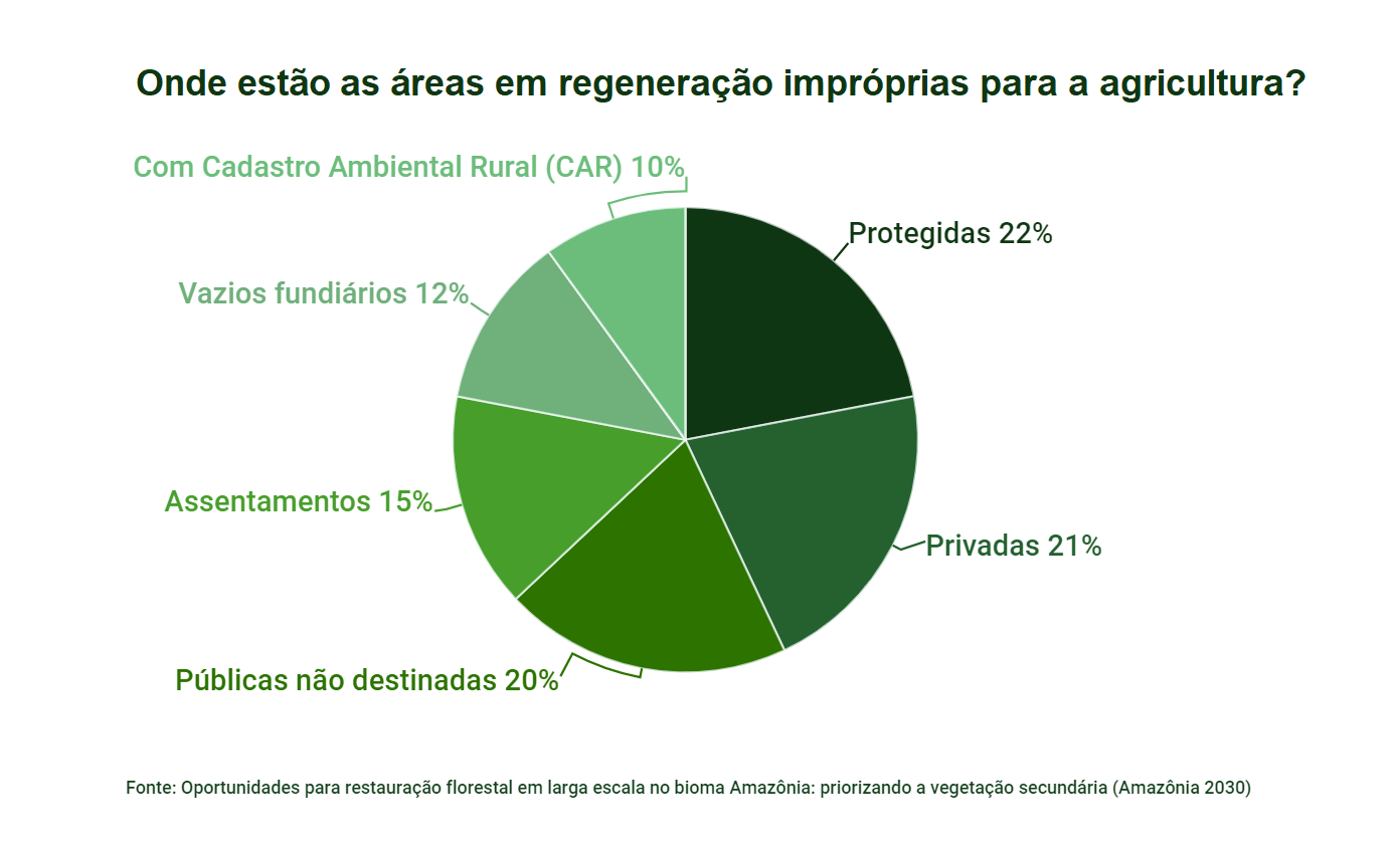 Grafico Amaral 1 - Maior parte da vegetação em regeneração da Amazônia está em áreas que não competem com a agricultura