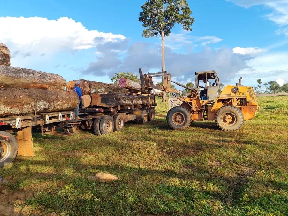 Apreensao de madeira no Acre em maio de 2021 Foto Arquivo Sejusp AC - Maior município do Acre, Feijó teve 47% da área com extração de madeira