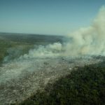 Christian Braga Greenpeace 150x150 - Amazônia tem segundo maior desmatamento no primeiro trimestre em 15 anos