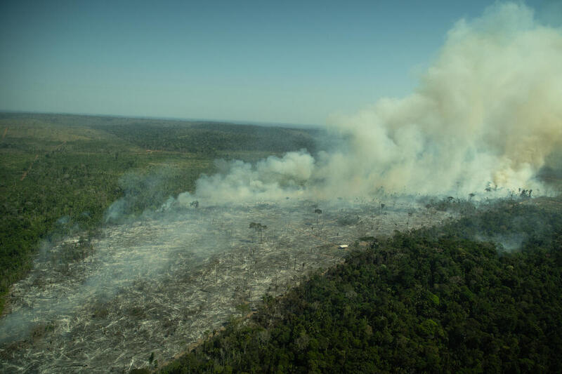 Christian Braga Greenpeace - Amazônia tem segundo maior desmatamento no primeiro trimestre em 15 anos