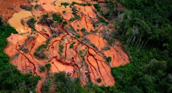 Estudo mapeia desmatamento ao redor das terras indígenas para identificar as mais ameaçadas
