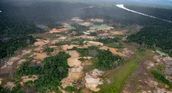 Desmatamento na Amazônia cresce 54% e atinge pior abril dos últimos 15 anos