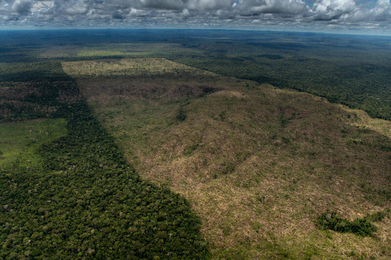 GP1SXABJ Web size - Amazônia já perdeu mais de 2 mil campos de futebol por dia de floresta em 2022, maior devastação em 15 anos