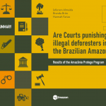 Capa Executive Summary Amazonia Protege 150x150 - EXECUTIVE SUMMARY: Are Courts punishing illegal deforesters in the Brazilian Amazon? - Results of the Amazônia Protege Program