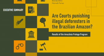 EXECUTIVE SUMMARY: Are Courts punishing illegal deforesters in the Brazilian Amazon? – Results of the Amazônia Protege Program
