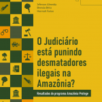 Capa Relatorio Amazonia Protege 150x150 - O Judiciário está punindo desmatadores ilegais na Amazônia? - Resultados do programa Amazônia Protege