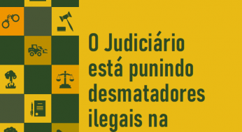 O Judiciário está punindo desmatadores ilegais na Amazônia? – Resultados do programa Amazônia Protege