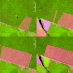 SAD Imagens de satelite 150x150 - Judiciário permite punir desmatadores ilegais com uso de imagens de satélite na Amazônia