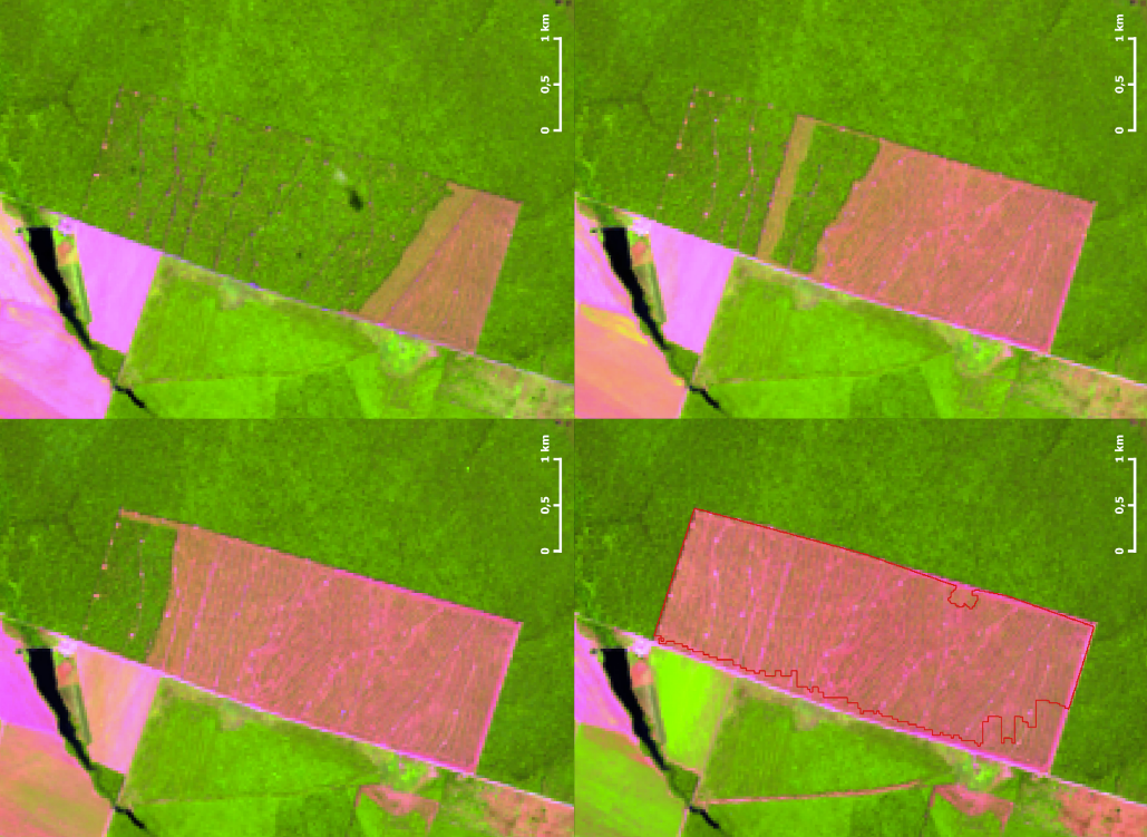 SAD Imagens de satelite - Judiciário permite punir desmatadores ilegais com uso de imagens de satélite na Amazônia