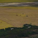 GP1SX0IK  150x150 - Desmatamento na Amazônia de janeiro a agosto é o menor desde 2018