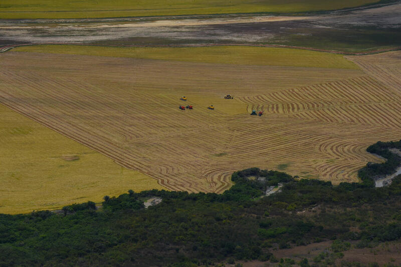 GP1SX0IK  - Desmatamento na Amazônia cresce 7% e tem o pior fevereiro em 16 anos