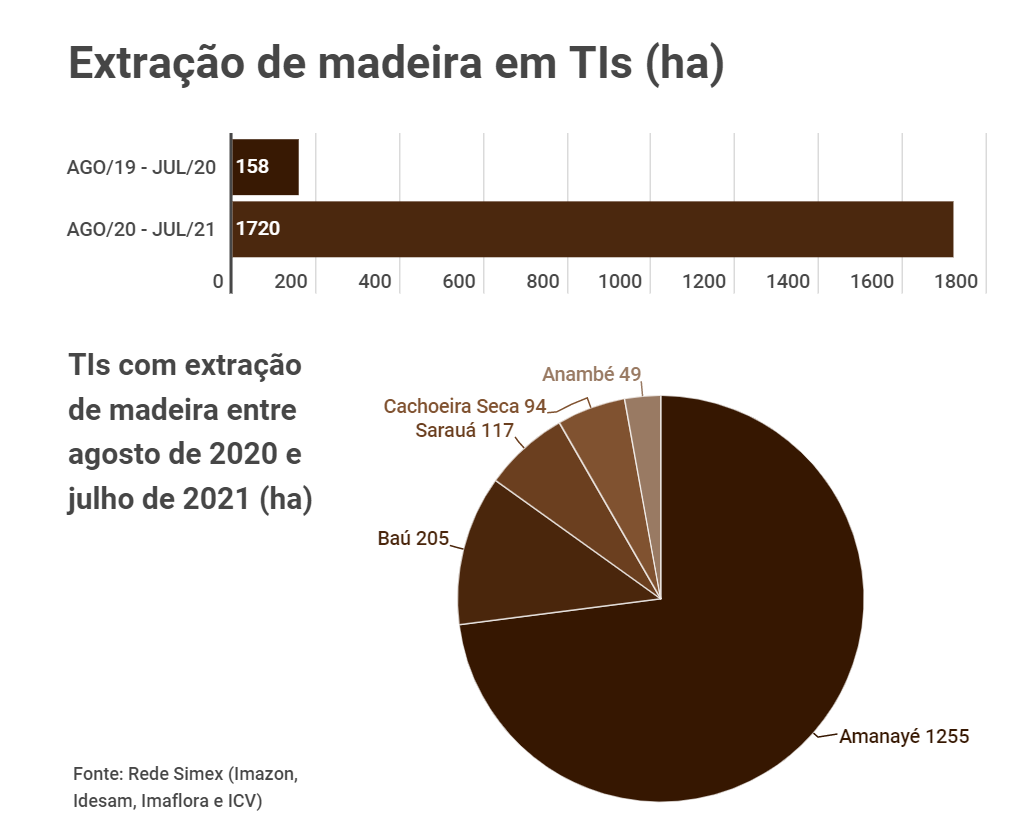 Info Simex 1 - Extração ilegal de madeira cresce 11 vezes em terras indígenas do Pará